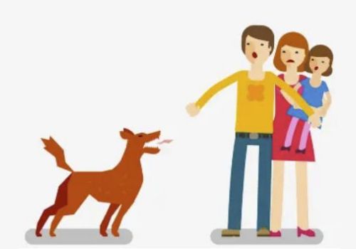 Владельцам собак.